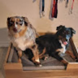 Meet your Posher, Krystal